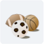 sport links
